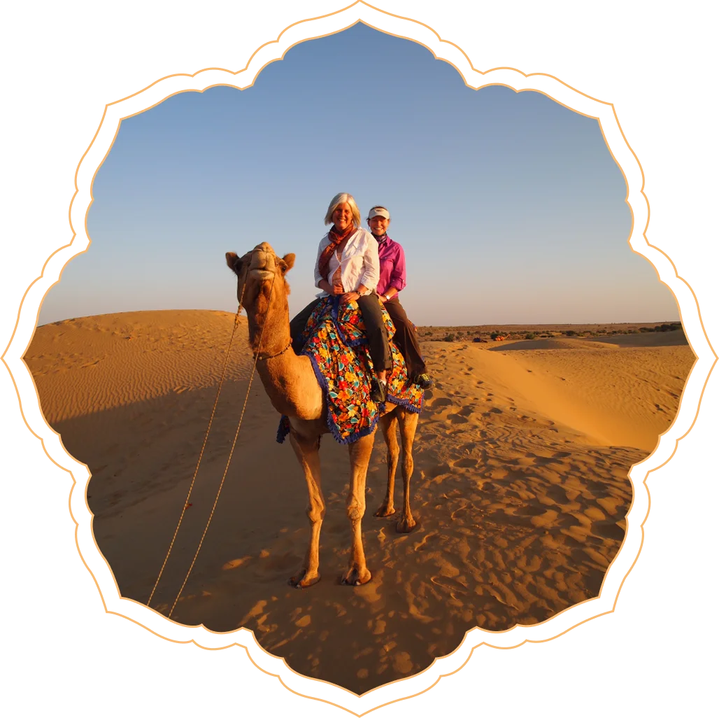 Camel Safari